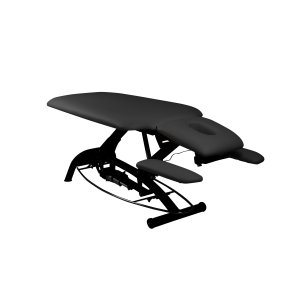 Premier Treat el-briks