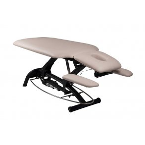 Premier Treat el-briks