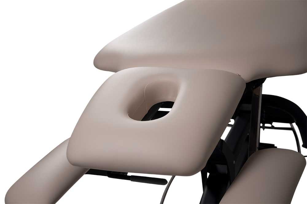 Premier Treat el-briks