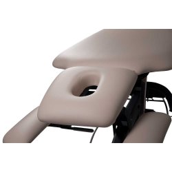 Premier Treat el-briks