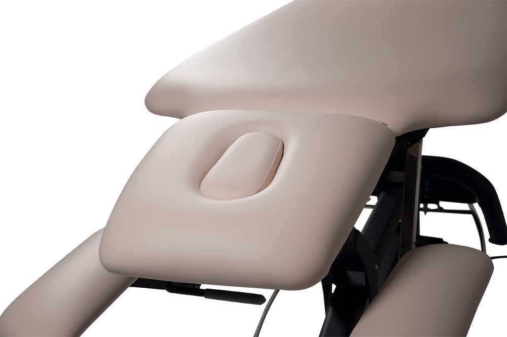 Premier Treat el-briks