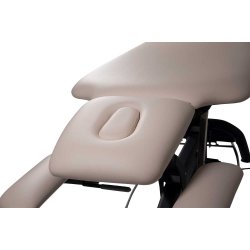 Premier Treat el-briks