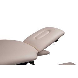 Premier Treat el-briks