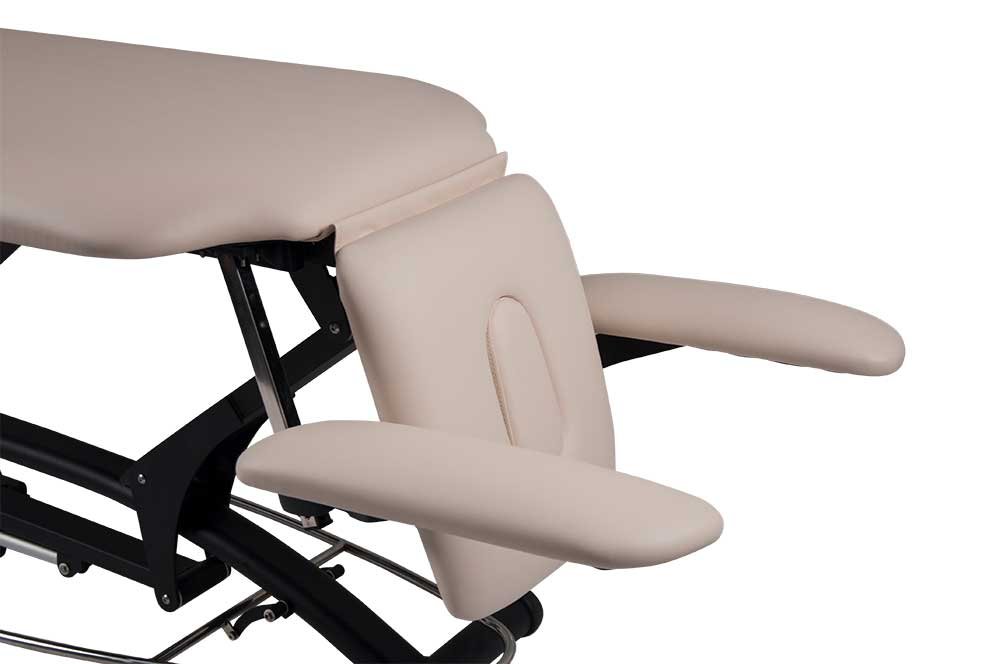 Premier Treat el-briks