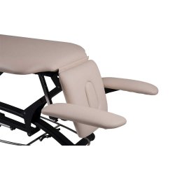 Premier Treat el-briks