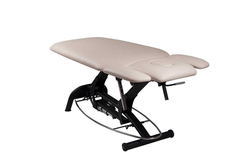 Premier Treat el-briks