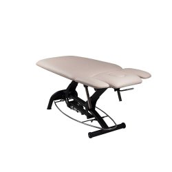 Premier Treat el-briks