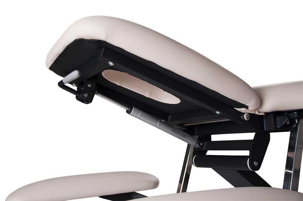 Premier Treat el-briks