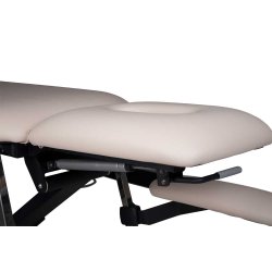 Premier Treat el-briks