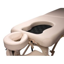 Premier Pregnancy Gravidbriks